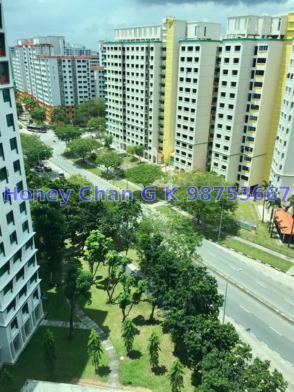 Blk 351D Canberra Road (Sembawang), HDB Executive #138096462